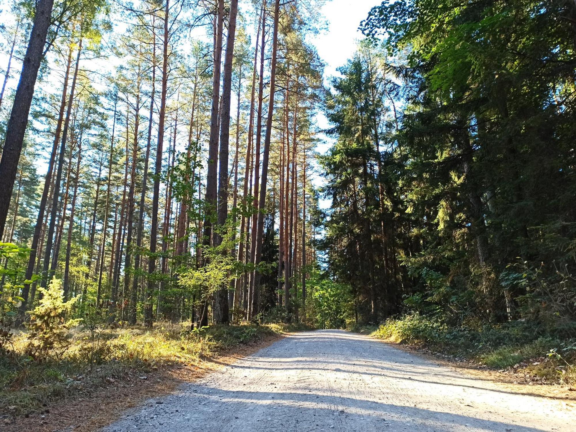 Bed and Breakfast Mazurska Lesniczowka Nowy Zyzdroj Экстерьер фото